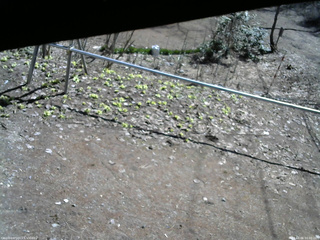 長野県菅平高原 ゆたか山荘 駐車場 2026/04/06 10:00