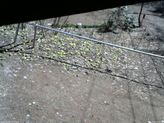 長野県菅平高原 ゆたか山荘 駐車場 2026/04/06 10:15