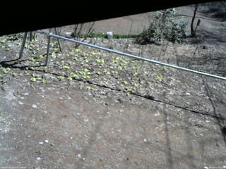 長野県菅平高原 ゆたか山荘 駐車場 2026/04/06 10:45