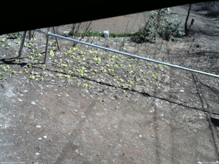 長野県菅平高原 ゆたか山荘 駐車場 2026/04/06 11:00