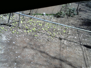 長野県菅平高原 ゆたか山荘 駐車場 2026/04/06 11:30