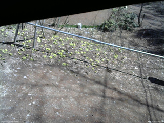 長野県菅平高原 ゆたか山荘 駐車場 2026/04/06 11:45