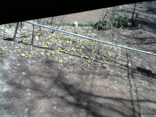 長野県菅平高原 ゆたか山荘 駐車場 2026/04/06 12:15