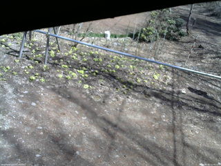 長野県菅平高原 ゆたか山荘 駐車場 2026/04/06 12:45