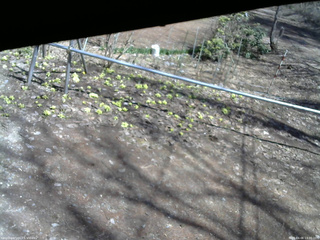 長野県菅平高原 ゆたか山荘 駐車場 2026/04/06 13:00