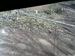 長野県菅平高原 ゆたか山荘 駐車場 2026/04/06 13:15