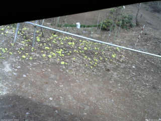 長野県菅平高原 ゆたか山荘 駐車場 2026/04/06 14:15