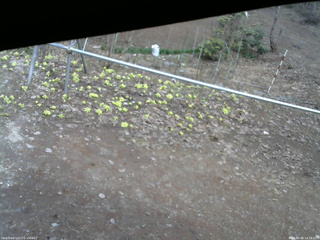 長野県菅平高原 ゆたか山荘 駐車場 2026/04/06 14:30