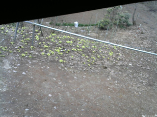 長野県菅平高原 ゆたか山荘 駐車場 2026/04/06 15:00