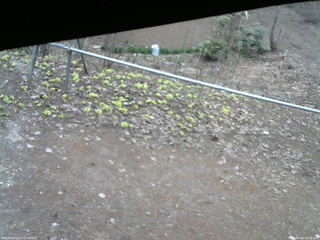 長野県菅平高原 ゆたか山荘 駐車場 2026/04/06 16:30