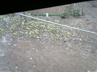 長野県菅平高原 ゆたか山荘 駐車場 2026/04/06 17:15