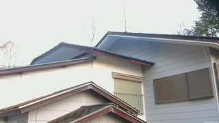 長野県菅平高原 ゆたか山荘 駐車場奥 2026/04/06 05:30