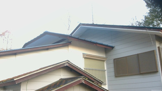 長野県菅平高原 ゆたか山荘 駐車場奥 2026/04/06 05:45