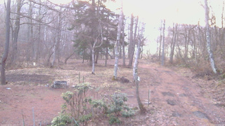 長野県菅平高原 ゆたか山荘 坂上 2026/04/06 05:30