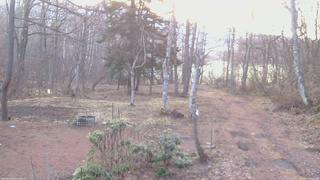 長野県菅平高原 ゆたか山荘 坂上 2026/04/06 05:45