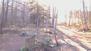 長野県菅平高原 ゆたか山荘 坂上 2026/04/06 06:00