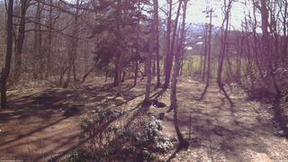 長野県菅平高原 ゆたか山荘 坂上 2026/04/06 07:45