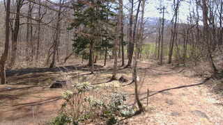 長野県菅平高原 ゆたか山荘 坂上 2026/04/06 09:30