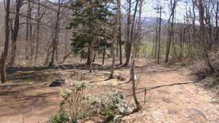 長野県菅平高原 ゆたか山荘 坂上 2026/04/06 09:45