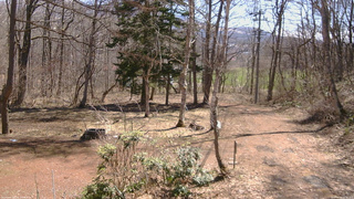 長野県菅平高原 ゆたか山荘 坂上 2026/04/06 10:15