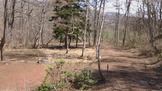 長野県菅平高原 ゆたか山荘 坂上 2026/04/06 12:15