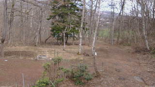 長野県菅平高原 ゆたか山荘 坂上 2026/04/06 13:45