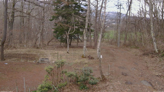 長野県菅平高原 ゆたか山荘 坂上 2026/04/06 15:30