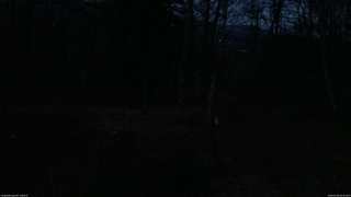 長野県菅平高原 ゆたか山荘 坂上 2026/04/06 18:30