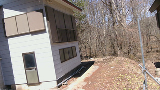 長野県菅平高原 ゆたか山荘 坂下 2026/04/06 11:45