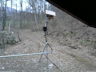 長野県菅平高原 ゆたか山荘 南側 2026/04/07 05:45