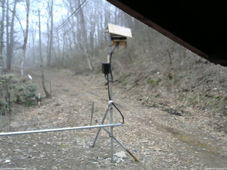 長野県菅平高原 ゆたか山荘 南側 2026/04/07 10:45