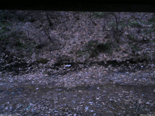 長野県菅平高原 ゆたか山荘 東側(坂下) 2026/04/07 05:15