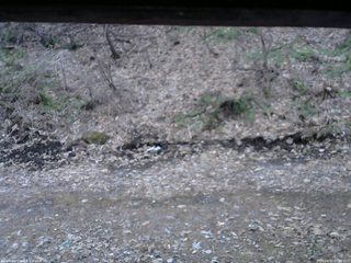 長野県菅平高原 ゆたか山荘 東側(坂下) 2026/04/07 05:30