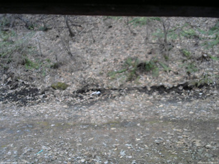 長野県菅平高原 ゆたか山荘 東側(坂下) 2026/04/07 05:45