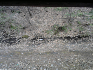 長野県菅平高原 ゆたか山荘 東側(坂下) 2026/04/07 06:00