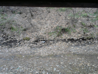 長野県菅平高原 ゆたか山荘 東側(坂下) 2026/04/07 06:15