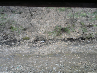 長野県菅平高原 ゆたか山荘 東側(坂下) 2026/04/07 06:45