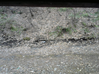 長野県菅平高原 ゆたか山荘 東側(坂下) 2026/04/07 08:15
