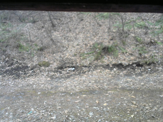 長野県菅平高原 ゆたか山荘 東側(坂下) 2026/04/07 10:30