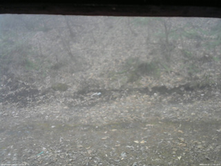 長野県菅平高原 ゆたか山荘 東側(坂下) 2026/04/07 11:00