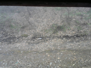 長野県菅平高原 ゆたか山荘 東側(坂下) 2026/04/07 11:30