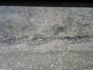 長野県菅平高原 ゆたか山荘 東側(坂下) 2026/04/07 11:45