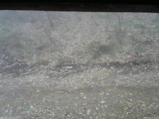 長野県菅平高原 ゆたか山荘 東側(坂下) 2026/04/07 12:00