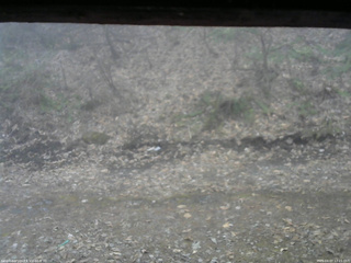 長野県菅平高原 ゆたか山荘 東側(坂下) 2026/04/07 12:15