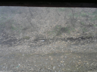 長野県菅平高原 ゆたか山荘 東側(坂下) 2026/04/07 12:30