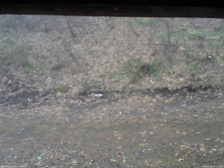 長野県菅平高原 ゆたか山荘 東側(坂下) 2026/04/07 13:30