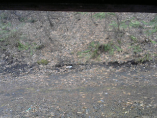 長野県菅平高原 ゆたか山荘 東側(坂下) 2026/04/07 13:45