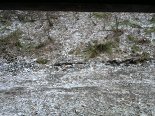 長野県菅平高原 ゆたか山荘 東側(坂下) 2026/04/07 14:15