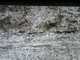 長野県菅平高原 ゆたか山荘 東側(坂下) 2026/04/07 14:30