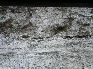 長野県菅平高原 ゆたか山荘 東側(坂下) 2026/04/07 14:45